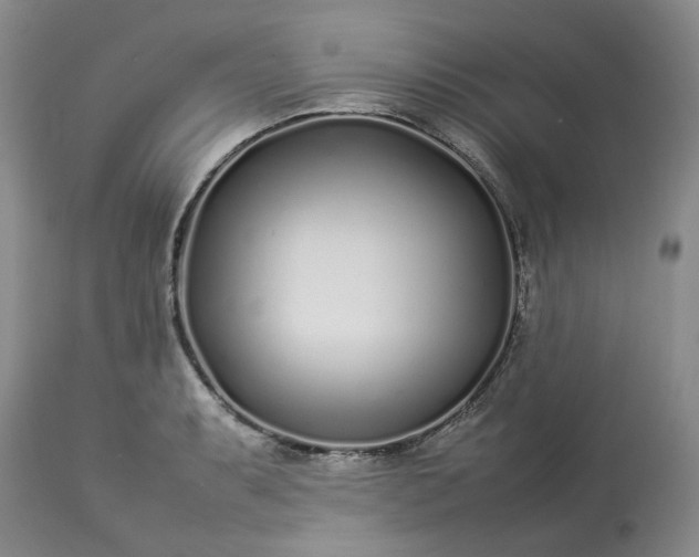 X0000113621087200910021821