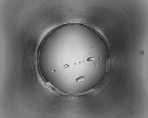 X0000113621088200910021821