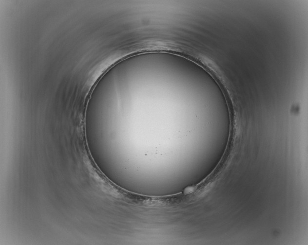 X0000113621089200910021821