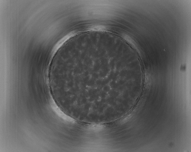 X0000113621090200910021821