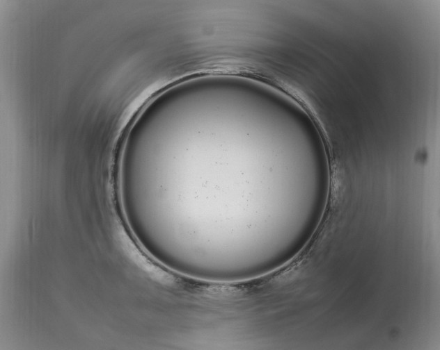 X0000113621091200910021821