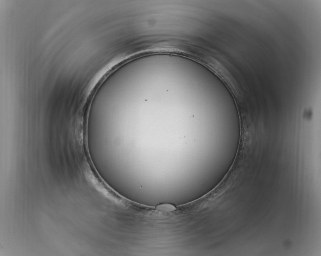 X0000113621092200910021821