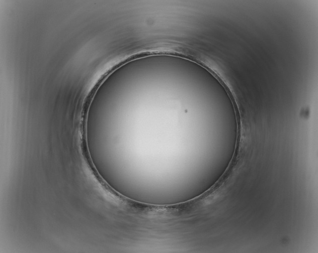 X0000113621093200910021821