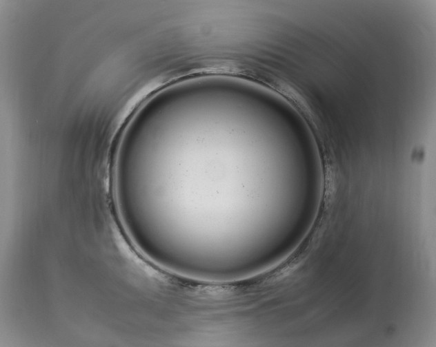 X0000113621095200910021821