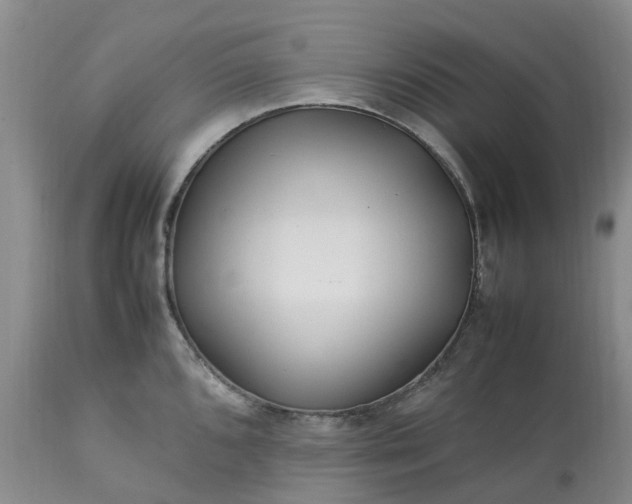 X0000113621096200910021821