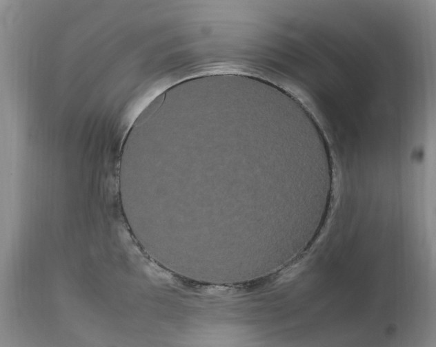 X0000113621097200910021821