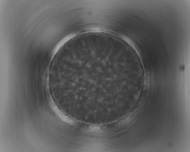 X0000113621098200910021821