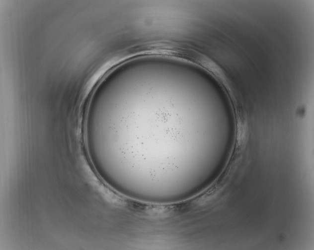 X0000113621099200910021821