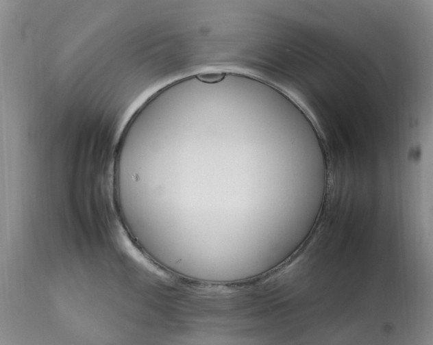 X0000113621100200910021821