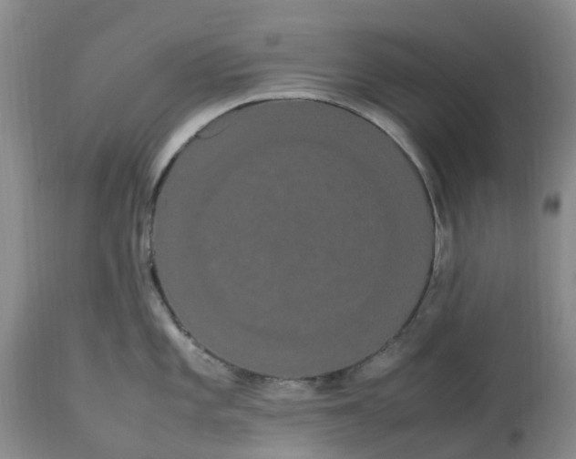 X0000113621101200910021821