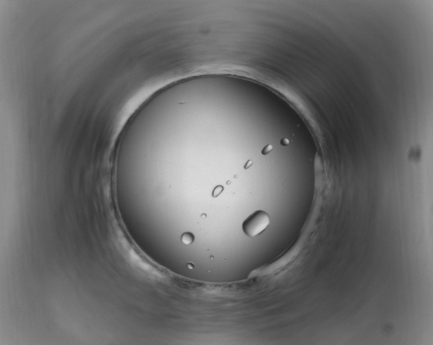 X0000113621102200910021821