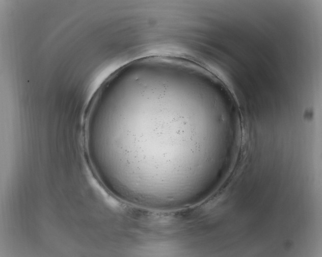 X0000113621103200910021821