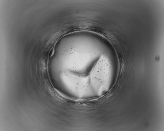 X0000113621106200910021820