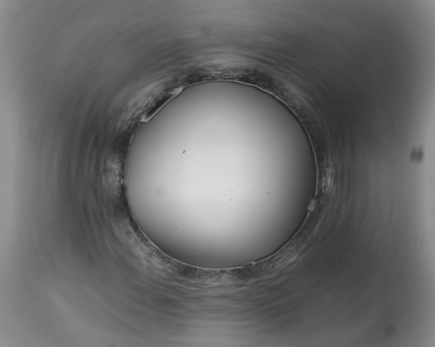 X0000113621108200910021820