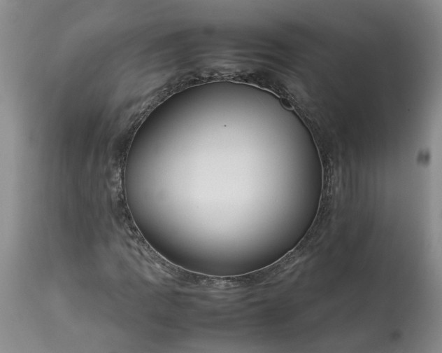 X0000113621109200910021820