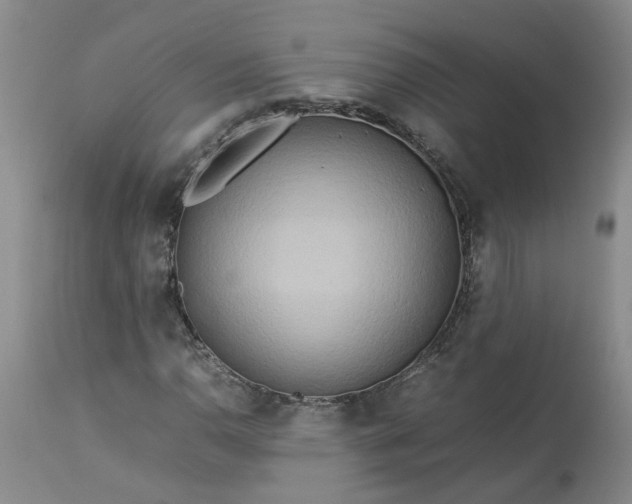 X0000113621110200910021820