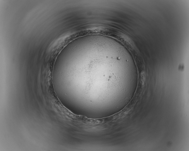 X0000113621111200910021820