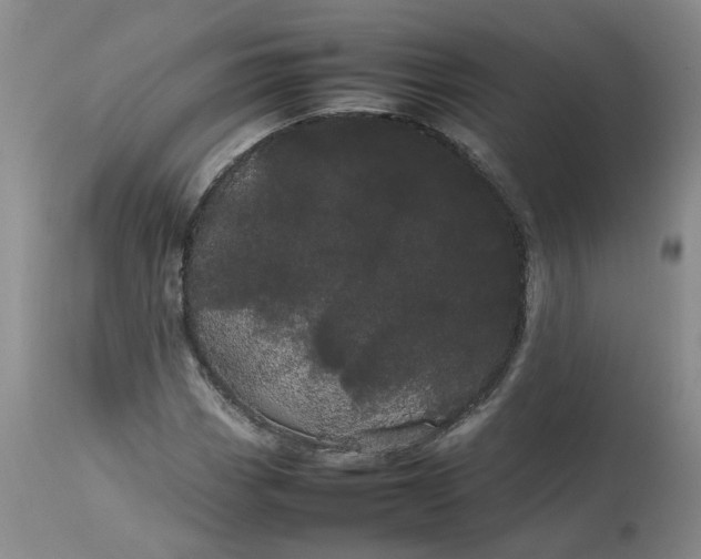 X0000113621113200910021820