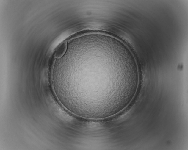 X0000113621114200910021820