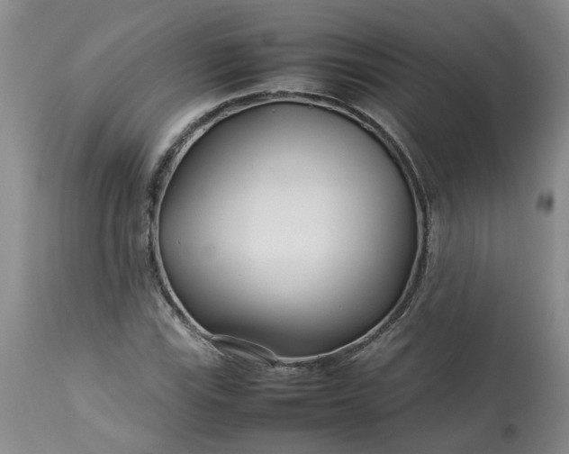 X0000113621115200910021820