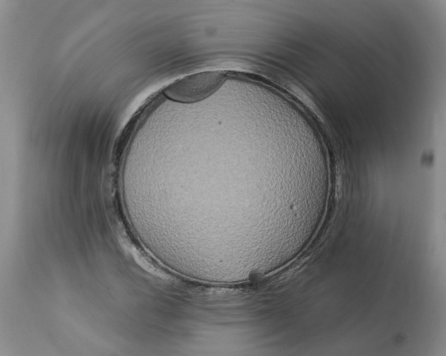 X0000113621116200910021820