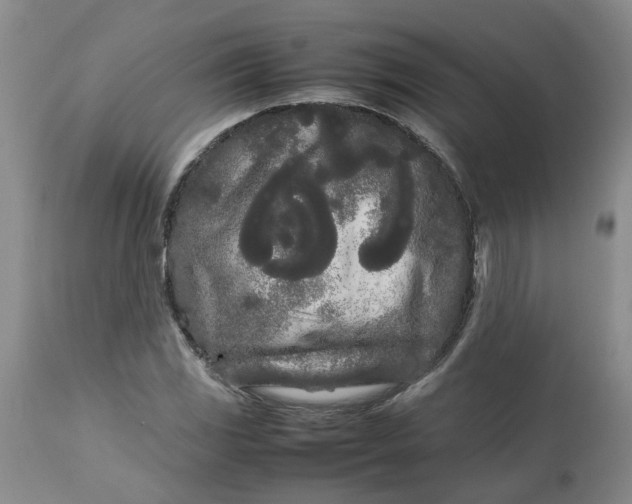 X0000113621117200910021821