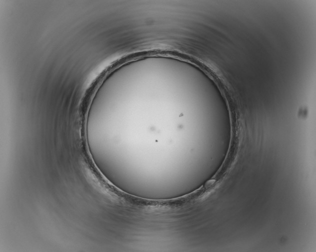 X0000113621118200910021821