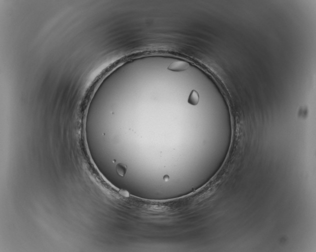 X0000113621119200910021821