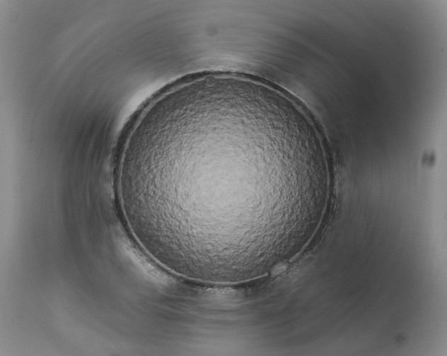 X0000113621120200910021821