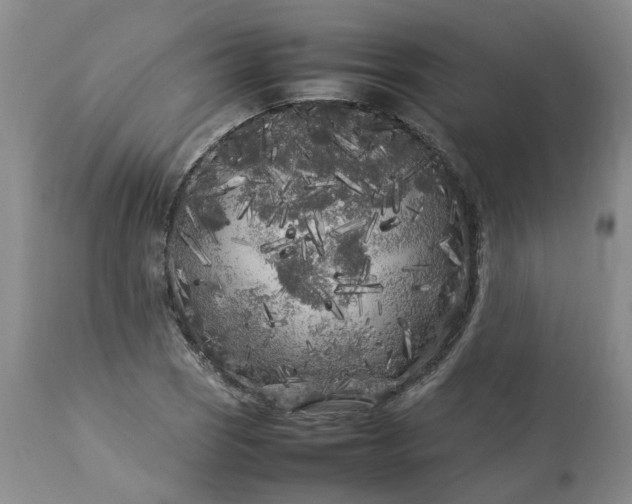 X0000113621121200910021821