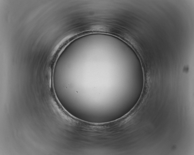 X0000113621123200910021821