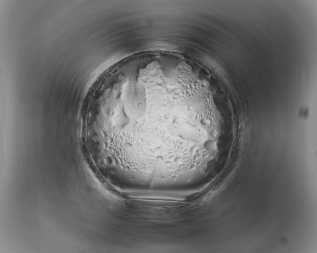 X0000113621125200910021821