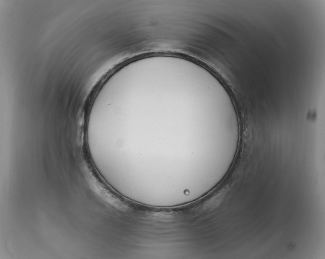 X0000113621126200910021821