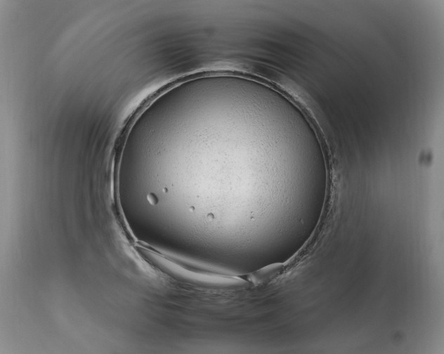 X0000113621127200910021821