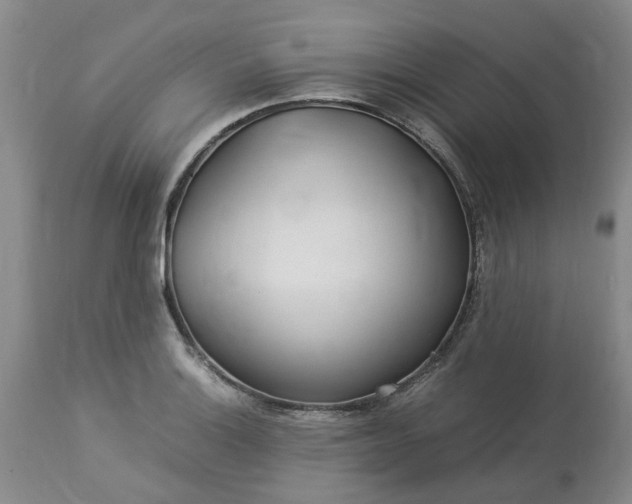 X0000113621132200910021821