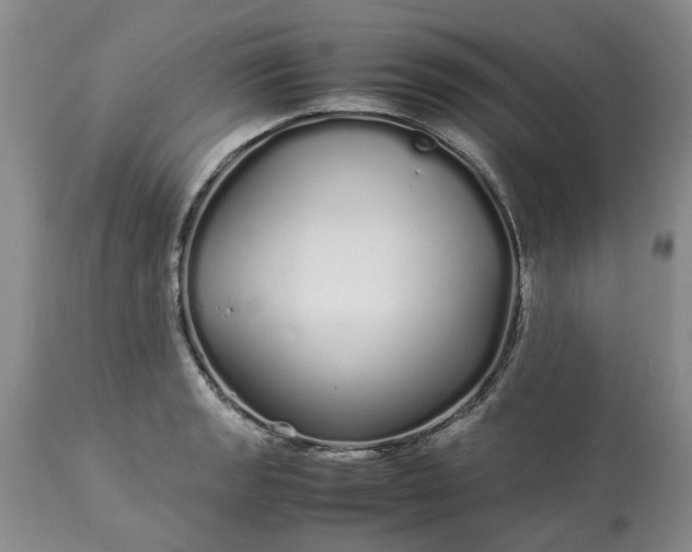 X0000113621133200910021821