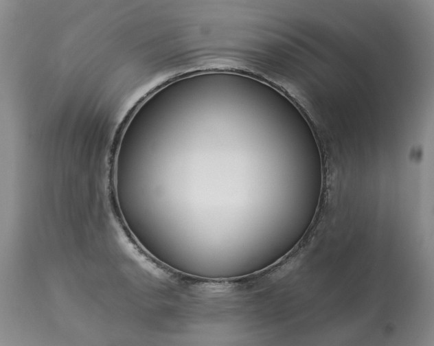 X0000113621134200910021821