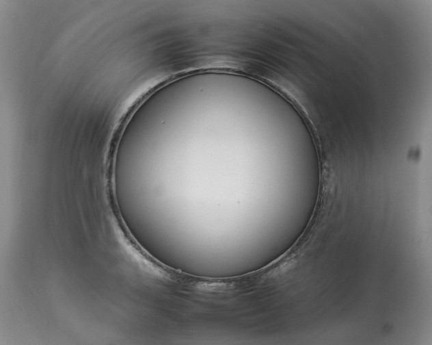 X0000113621135200910021821