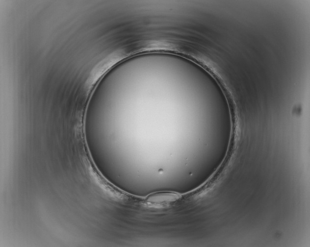 X0000113621137200910021821