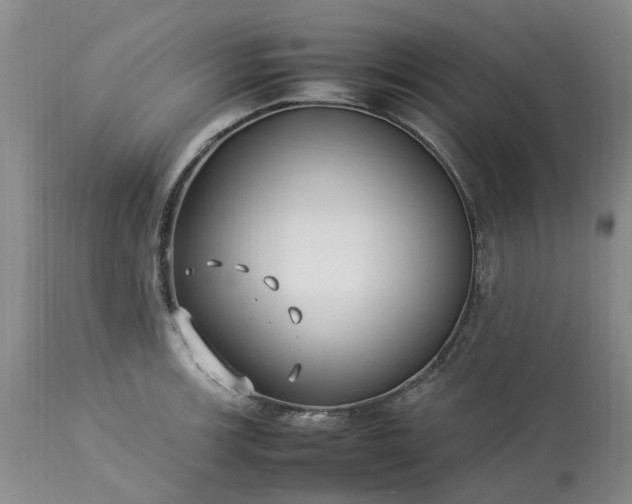 X0000113621139200910021821