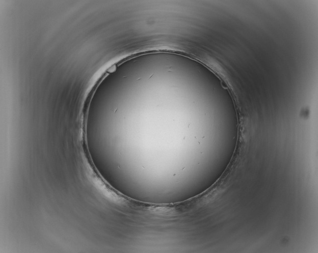 X0000113621140200910021821