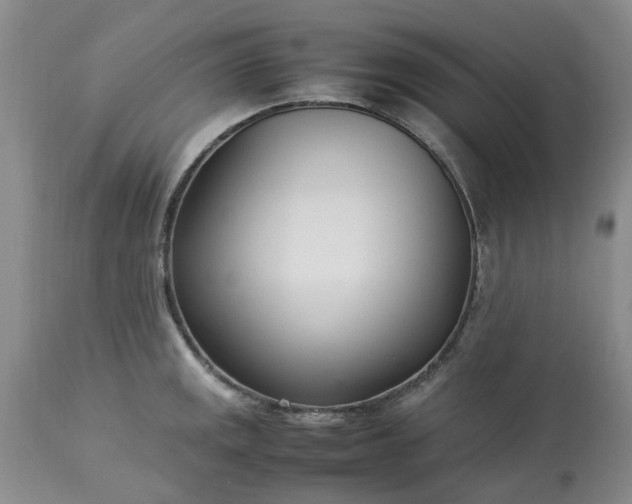 X0000113621141200910021821