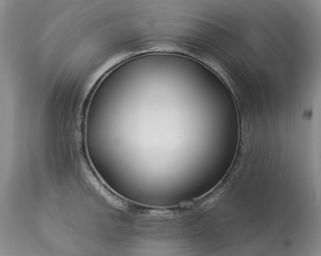 X0000113621142200910021821