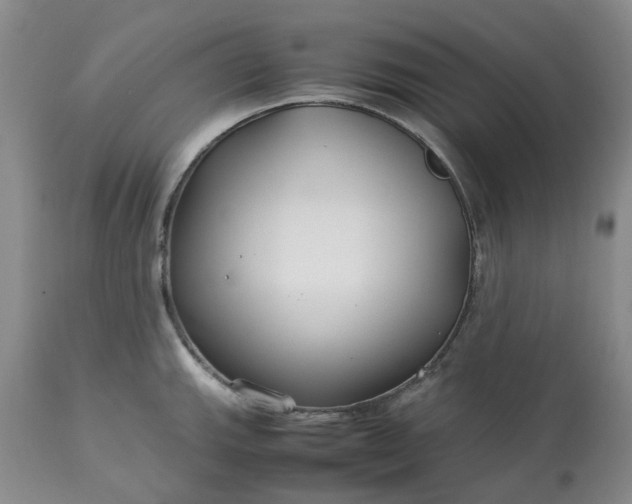 X0000113621143200910021821