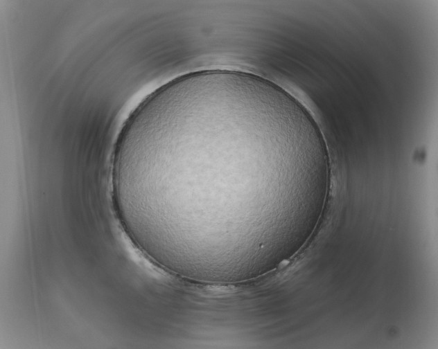 X0000113621144200910021821