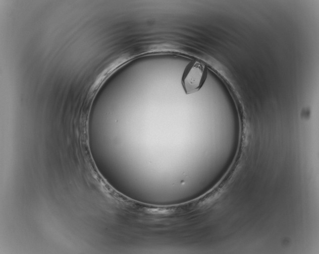 X0000113621145200910021821