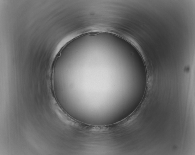 X0000113621146200910021821