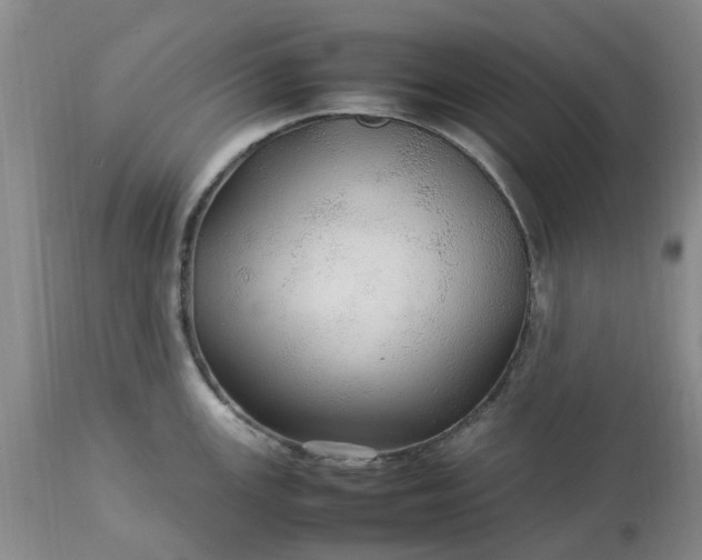 X0000113621147200910021821