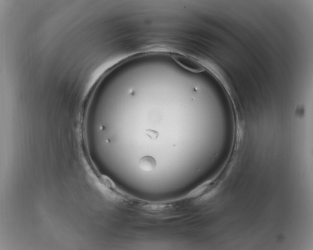 X0000113621149200910021821