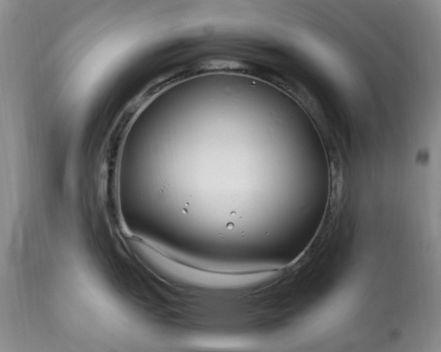 X0000113621151200910021821